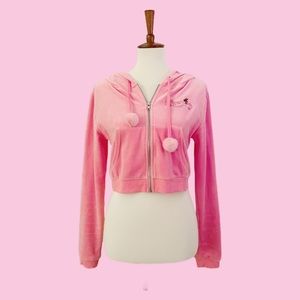 Dolls Kill Powerpuff Girl Velour Cropped Hoodie